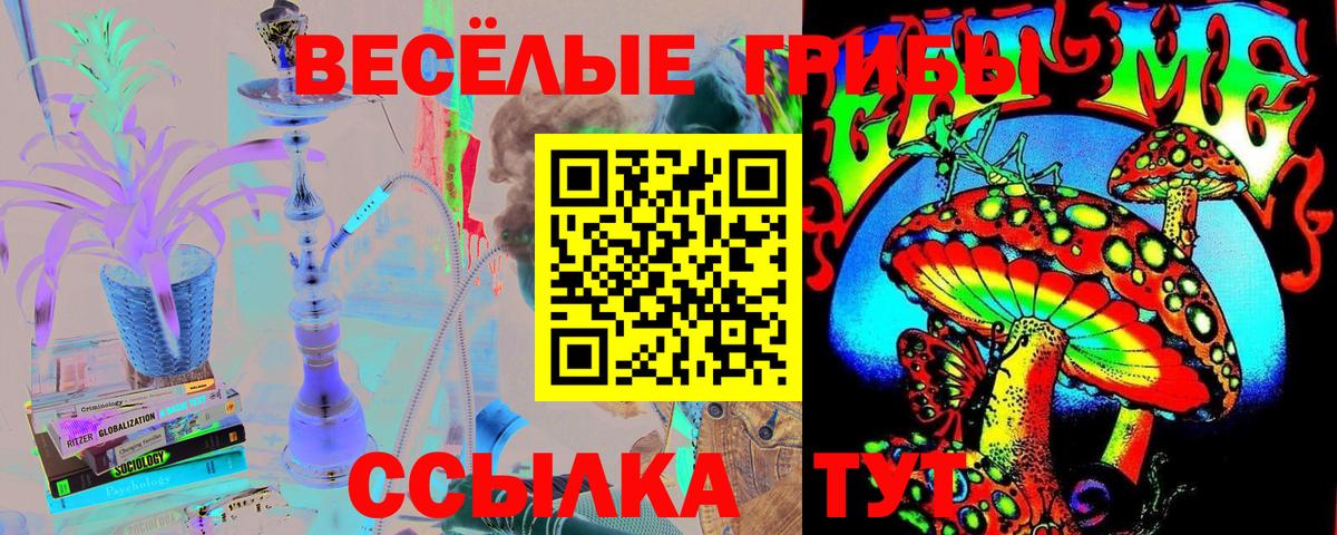 Псилоцибиновые грибы Magic Shrooms Кулебаки