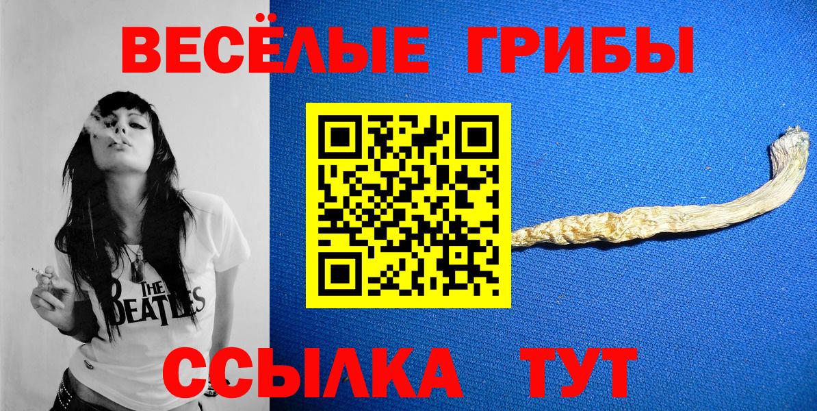 Галлюциногенные грибы Magic Shrooms  Вход с VPN  Кулебаки 